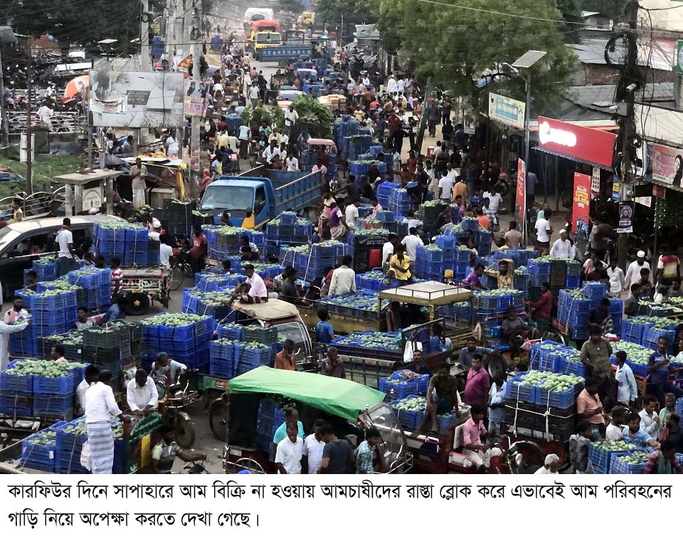 সাপাহারে আমের বাণিজ্যে ৬০০ কোটি টাকার ক্ষতি