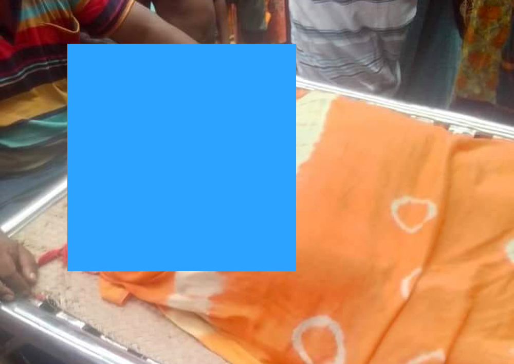 পুকুরে শাপলা ফুল তুলতে গিয়ে পানিতে ডুবে প্রাণ গেল ২ শিশুর