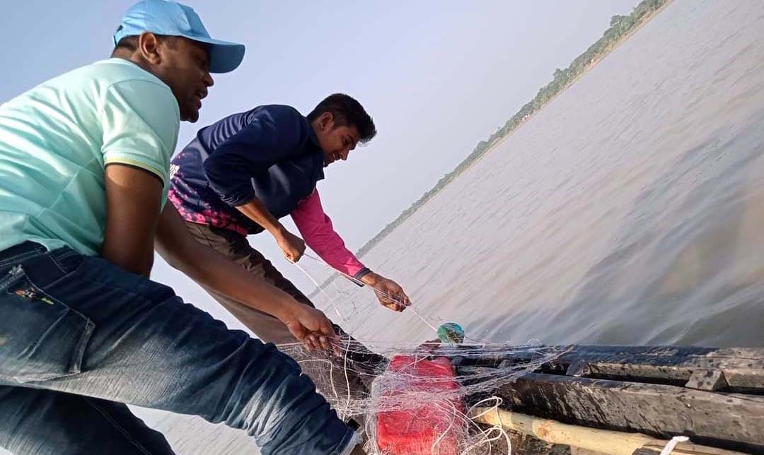 নিষেধাজ্ঞা অমান্য করে রাজশাহী পদ্মায় চলছে মা ইলিশ শিকার