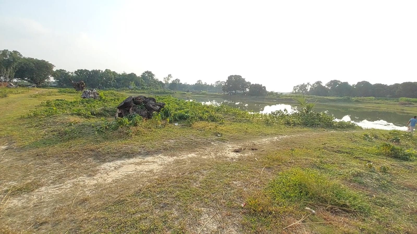 আ.লীগ নেতার নির্দেশে জমি ও পুকুর দখল, প্রতিবাদ করায় হামলা-মামলা