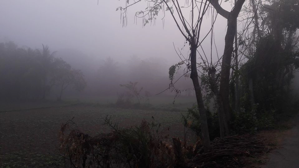 তিন দিন বৃষ্টির সম্ভাবনা, জেঁকে বসবে শীত