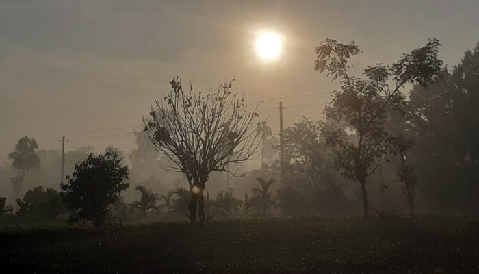 রোদে কমেছে শীতের তীব্রতা