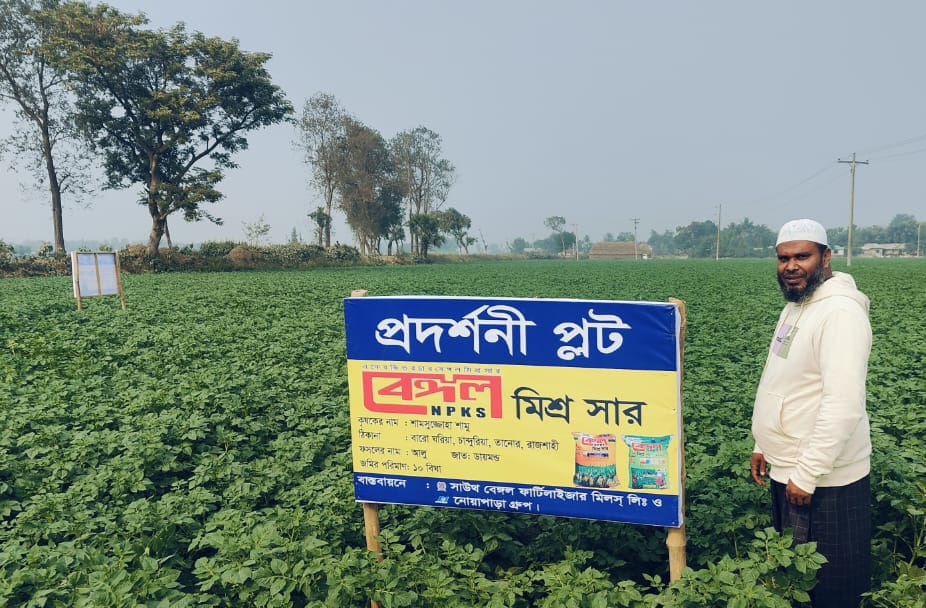 আলু চাষে বেঙ্গল মিশ্র সারে বাম্পার ফলনের সম্ভাবনা