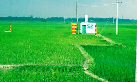 কৃষক হয়রানী বন্ধে ‘হটলাইন’ সেবা চালু করলো বিএমডিএ