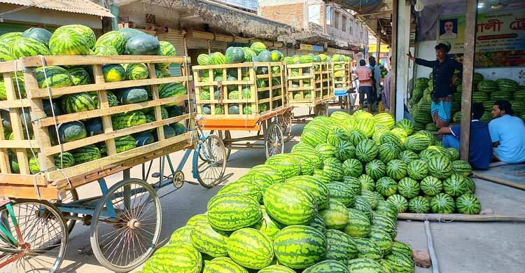 বাজারজুড়ে অপরিপক্ব তরমুজ