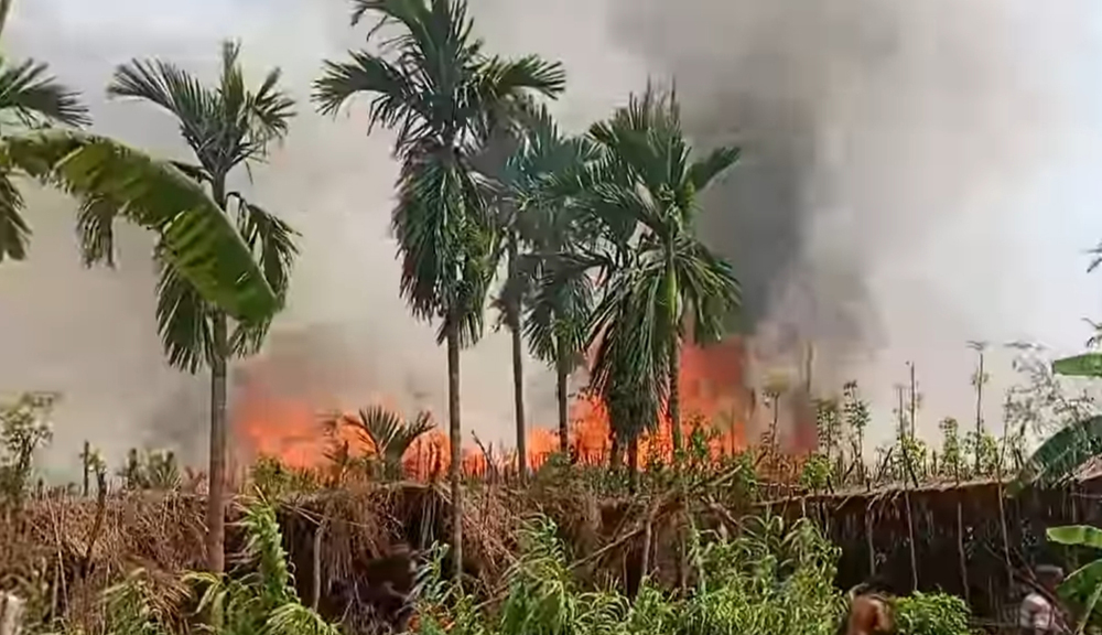 বাগমারায় অগ্নিকাণ্ডে ৮০ কৃষকের পানবরজ ভস্মীভূত