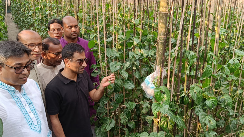 বাগমারায় শিলা বৃষ্টিতে ক্ষতিগ্রস্ত এলাকা পরিদর্শন করলেন ইউএনও