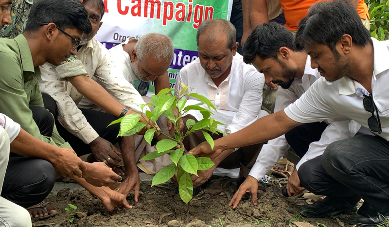 রাজশাহীতে বৃক্ষরোপণ কর্মসূচি শুরু, গাছের চারা উপহার