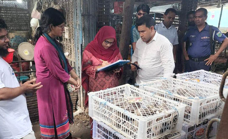 বাঘায় দুইশ ঘুঘু অবমুক্ত, পোল্ট্রি মালিকসহ দুজনের জরিমানা