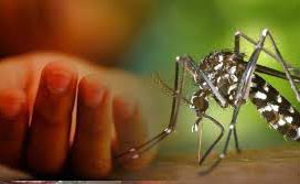 ডেঙ্গুতে আরও ৪ জনের মৃত্যু
