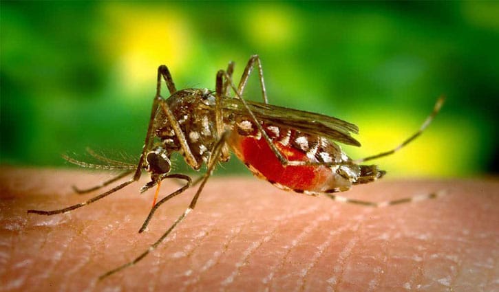 ডেঙ্গুতে প্রাণ গেল আরও ৫ জনের