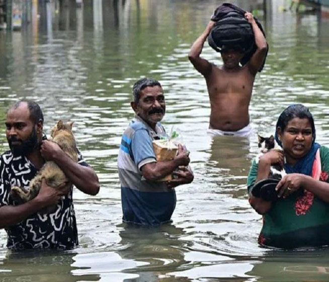 প্রবল বর্ষণে বিপর্যস্ত দক্ষিণ এশিয়া, প্রাণহানি ৬০০ ছাড়াল