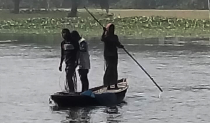 বাগমারায় যুবদল নেতার খামারে বিষ প্রয়োগে অর্ধকোটি টাকার মাছ নিধন