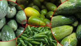 দেড়শ টাকা ছুঁয়েছে শসা, বেগুন