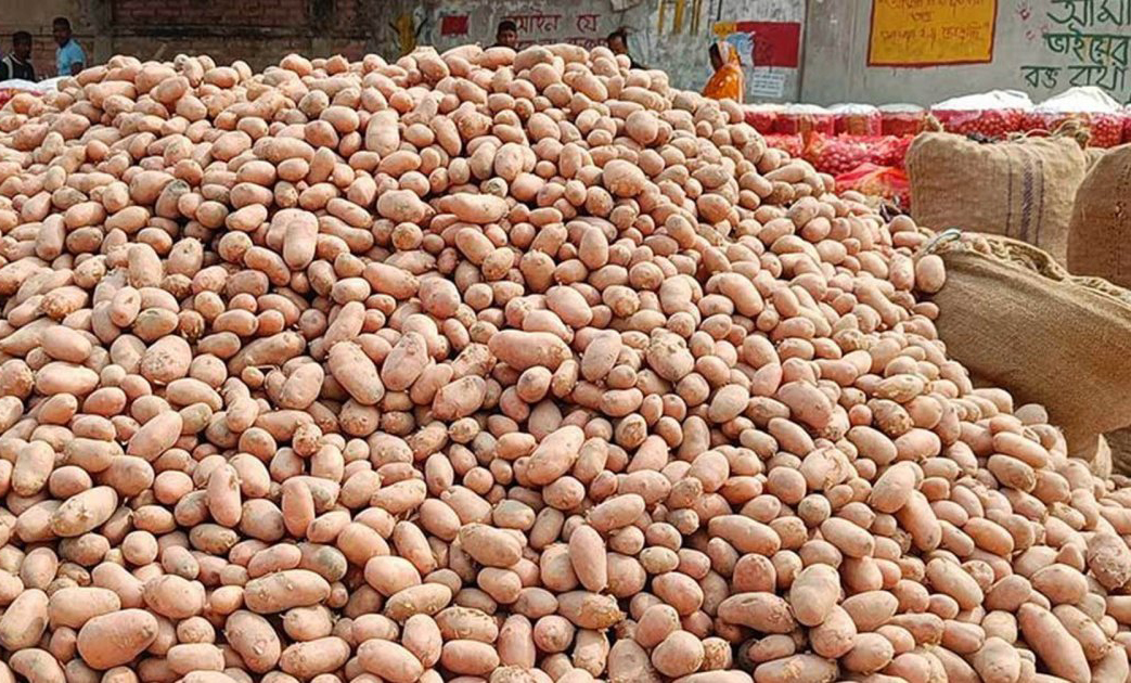 এবার চটের বস্তা নিয়ে বিপাকে তানোরের আলু চাষিরা