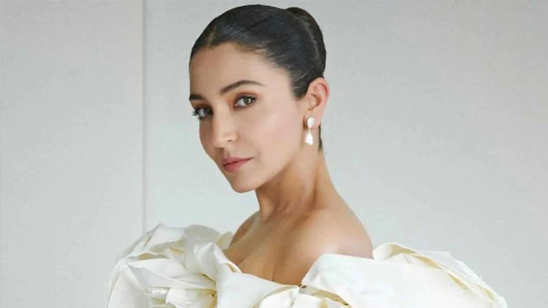 পরিচিত বলিউড ধারার বাইরে আনুশকা, সঙ্গী আল্লু অর্জুন