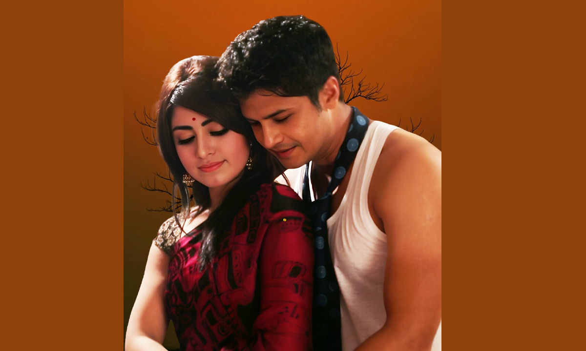 ৯ বছর পর শখ-নিলয়ের নাটক