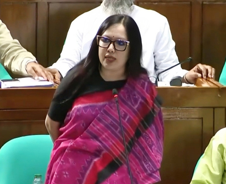 মবের শহরে পরিণত হয়েছে দেশ : রুমিন ফারহানা