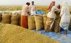 ধান-চালের সরকারি দাম নির্ধারণ
