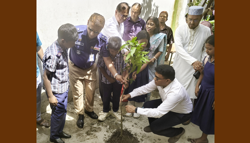 রাজশাহীতে সরকারি প্রাথমিক বিদ্যালয়ে বৃক্ষরোপণ কর্মসূচির উদ্বোধন