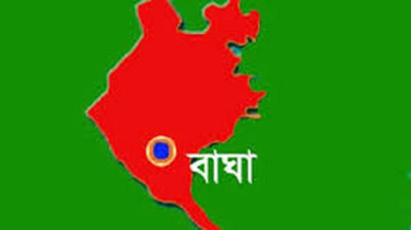 বাঘায় গরু চোর সন্দেহে দুজনকে গণপিটুনি, একজনের মৃত্যু