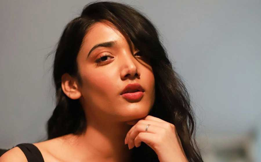 মেধা শঙ্করের বিয়ে ডিসেম্বরে