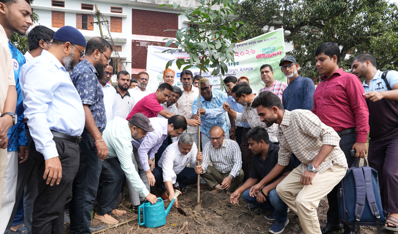 রাবিতে বৃক্ষরোপণ কর্মসূচি উদ্বোধন