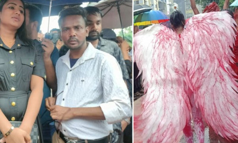 ‘প্রতিবাদে রাস্তায় নেমেছি’, শিল্পী সমাজের সমাবেশে হিরো আলম