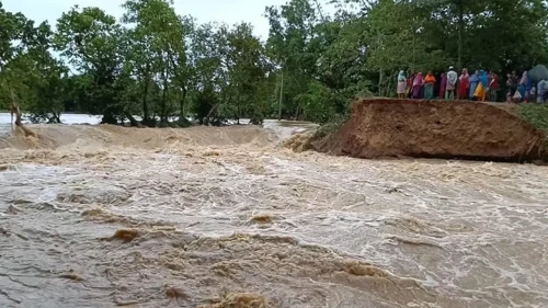 বন্যার্তদের সহায়তায় সমন্বয় সেল গঠন