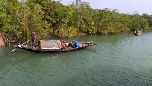 ভারতে পালাতে চুক্তি, ১১ বাংলাদেশিকে সুন্দরবনে রেখে পালাল দালাল