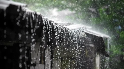 আগামী তিন দিন যেসব বিভাগে ভারি বৃষ্টির পূর্বাভাস