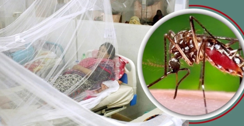 ডেঙ্গুতে আক্রান্ত ২৩ হাজার ছাড়ালো