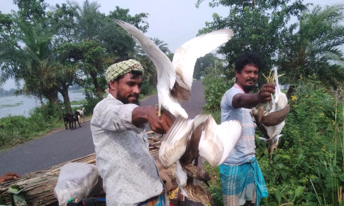 সাংবাদিকের ভালবাসায় মুক্ত আকাশে ডানা মেললো ৪০টি বক