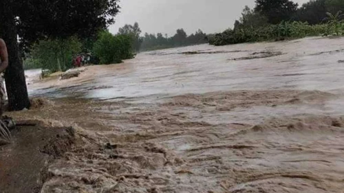 শেরপুরে পাহাড়ি ঢলে শতাধিক গ্রাম প্লাবিত