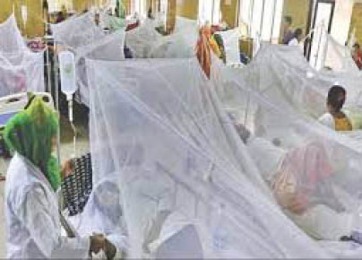 ডেঙ্গুতে এক দিনে সর্বোচ্চ ৯ জনের মৃত্যু