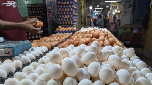 ডিমের নতুন দাম নির্ধারণ, বুধবার থেকে কার্যকর