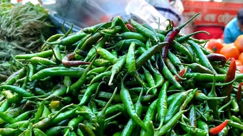 ভারত থেকে এলো ৫৯৩ টন কাঁচামরিচ