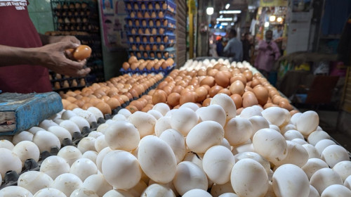 ভারত থেকে এলো আরও দুই লাখ ৩১ হাজার ৮৪০ ডিম