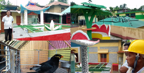 বাসাবাড়ি যেন মিনি চিড়িয়াখানা