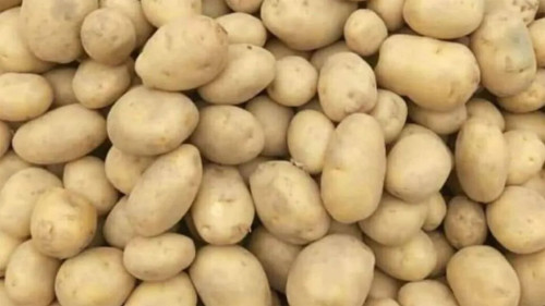 আলুর কেজি ৭০ টাকা