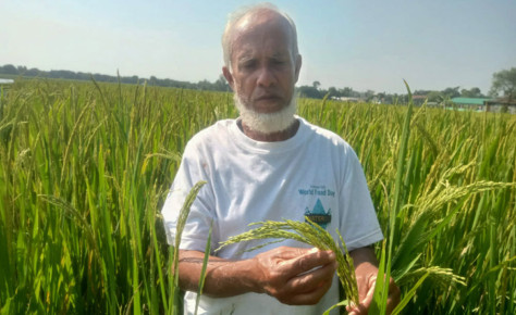 তানোরের কৃষক নুর মোহাম্মদ এখন মালয়েশিয়ায়