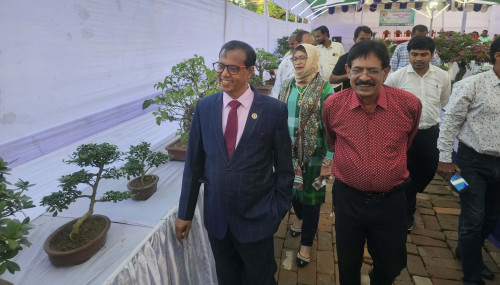 রাজশাহীতে ৩ দিন ব্যাপী বনসাই প্রদর্শনীর উদ্বোধন