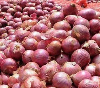 হিলি স্থলবন্দর দিয়ে পেঁয়াজ আমদানি শুরু