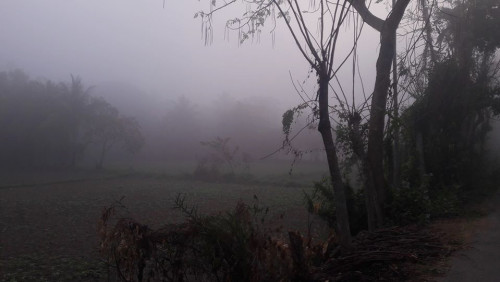 তিন দিন বৃষ্টির সম্ভাবনা, জেঁকে বসবে শীত