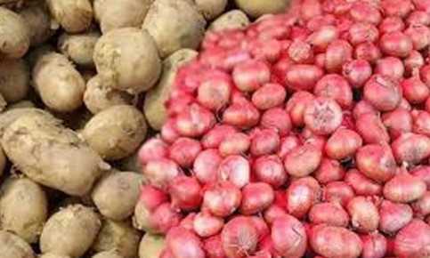 বাজারে এখনো চড়া দামে  আলু-পেঁয়াজ