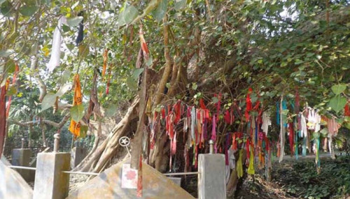 বটগাছের কাছে রোগমুক্তির আশা !