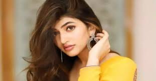 শাহরুখ কাজলের গান নিয়ে শ্রীলীলা