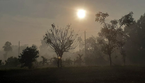 রোদে কমেছে শীতের তীব্রতা