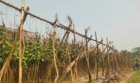 দুর্গাপুরে দুর্বৃত্ত্বের আগুনে পুড়লো চারটি পানবরজ