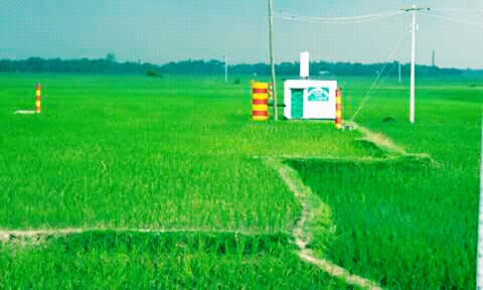 কৃষক হয়রানী বন্ধে ‘হটলাইন’ সেবা চালু করলো বিএমডিএ